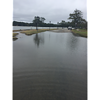 MTM king tide Oct27 image